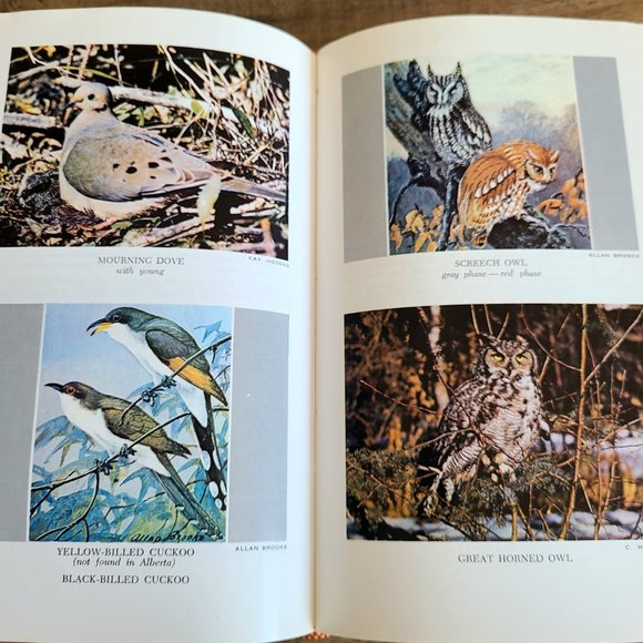 The birds of Alberta book by Salt-Wilk. - Picture 10 of 13